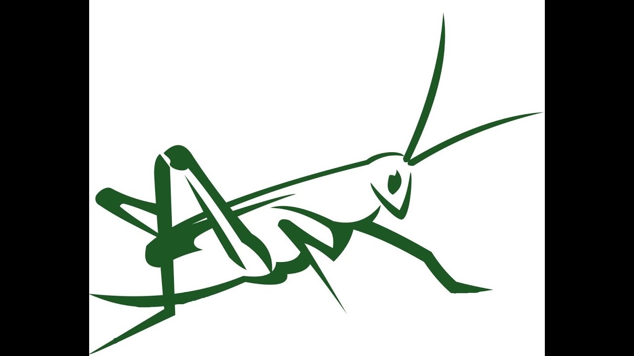 Como colocar linha de fly na carretilha.