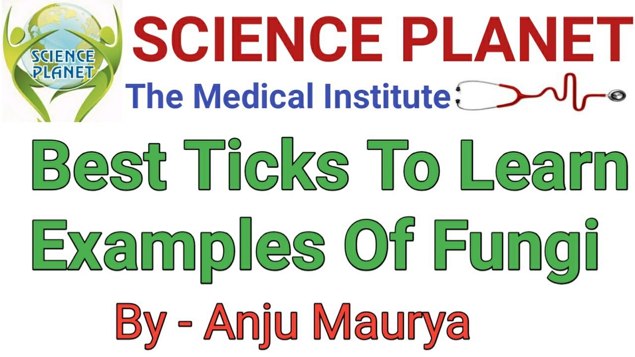 Best Mnemonics To Learn Examples Of Fungi ll NEET ll By- Anju Maurya