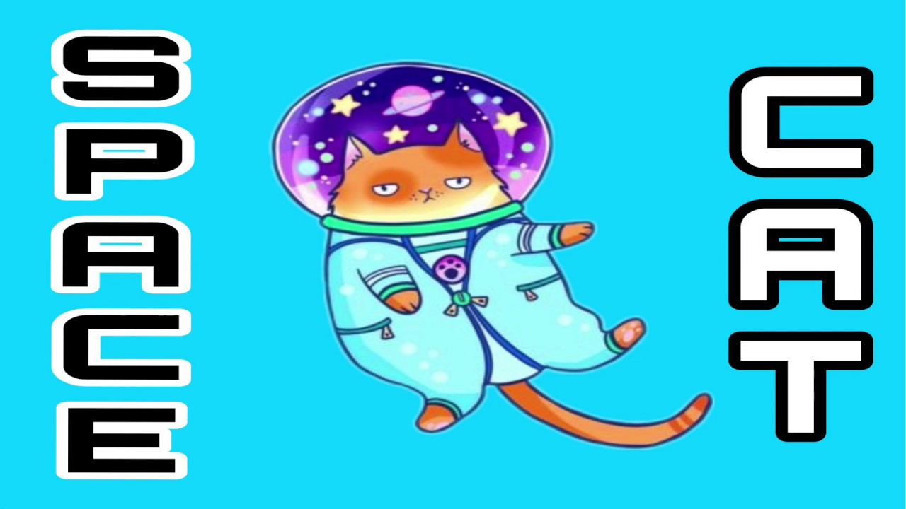 SPACE CAT | Риторический анализ AP Lang Q2 | Авторы: Коуч Холл
