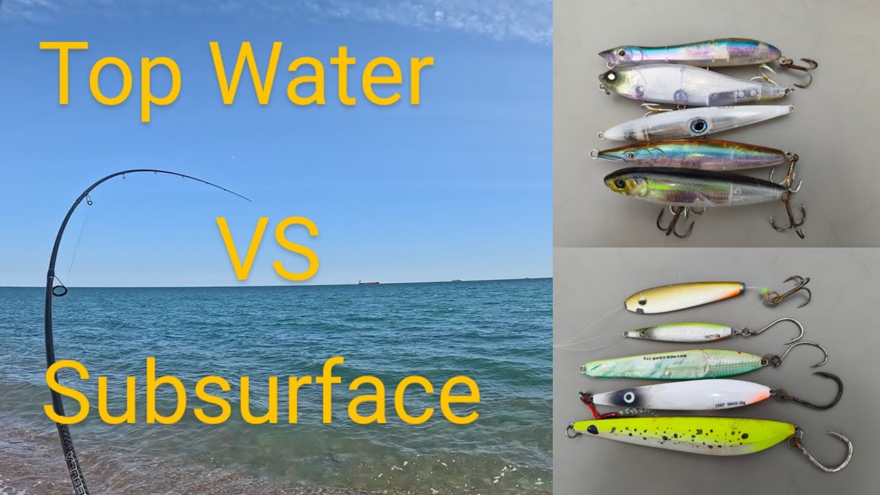 Lure fishing for sea bass : Topwater lures : metal lures