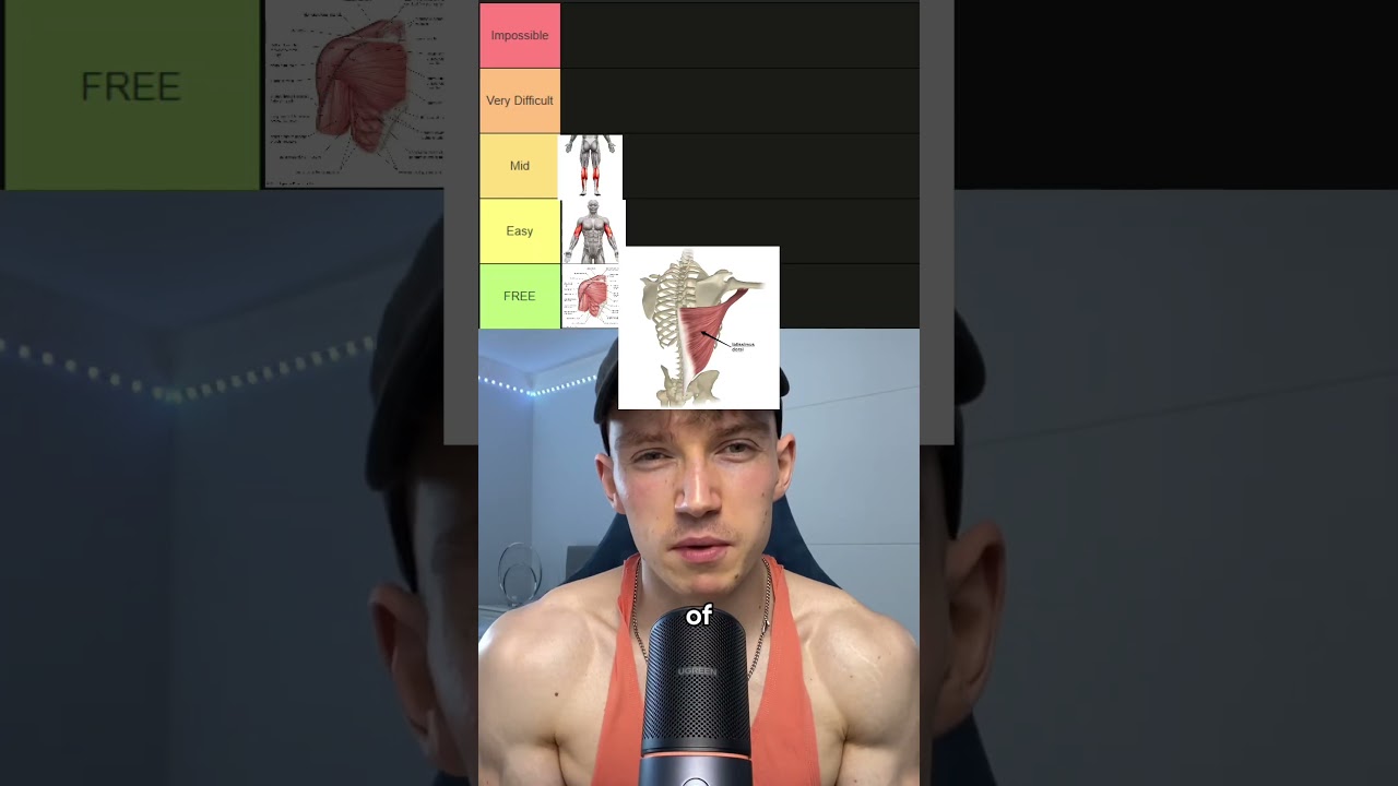 Hardest muscles to grow tier list