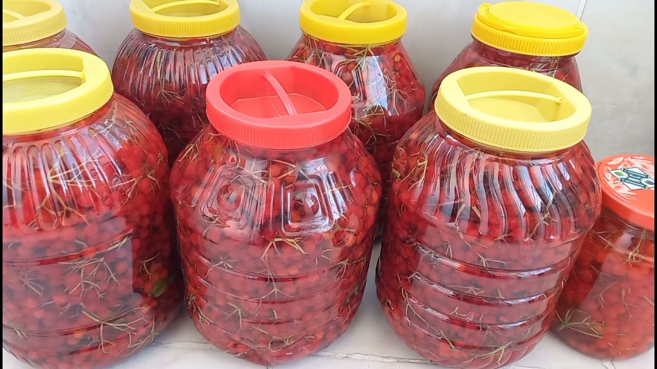 GİLABURU💥Gilabolu suyu nasıl hazırlanır⁉️