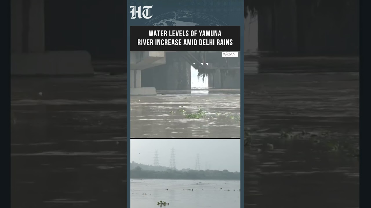 Yamuna Water Level Rises Amid Heavy Delhi Rains; River Swells As Rainfall Intensifies | #shorts