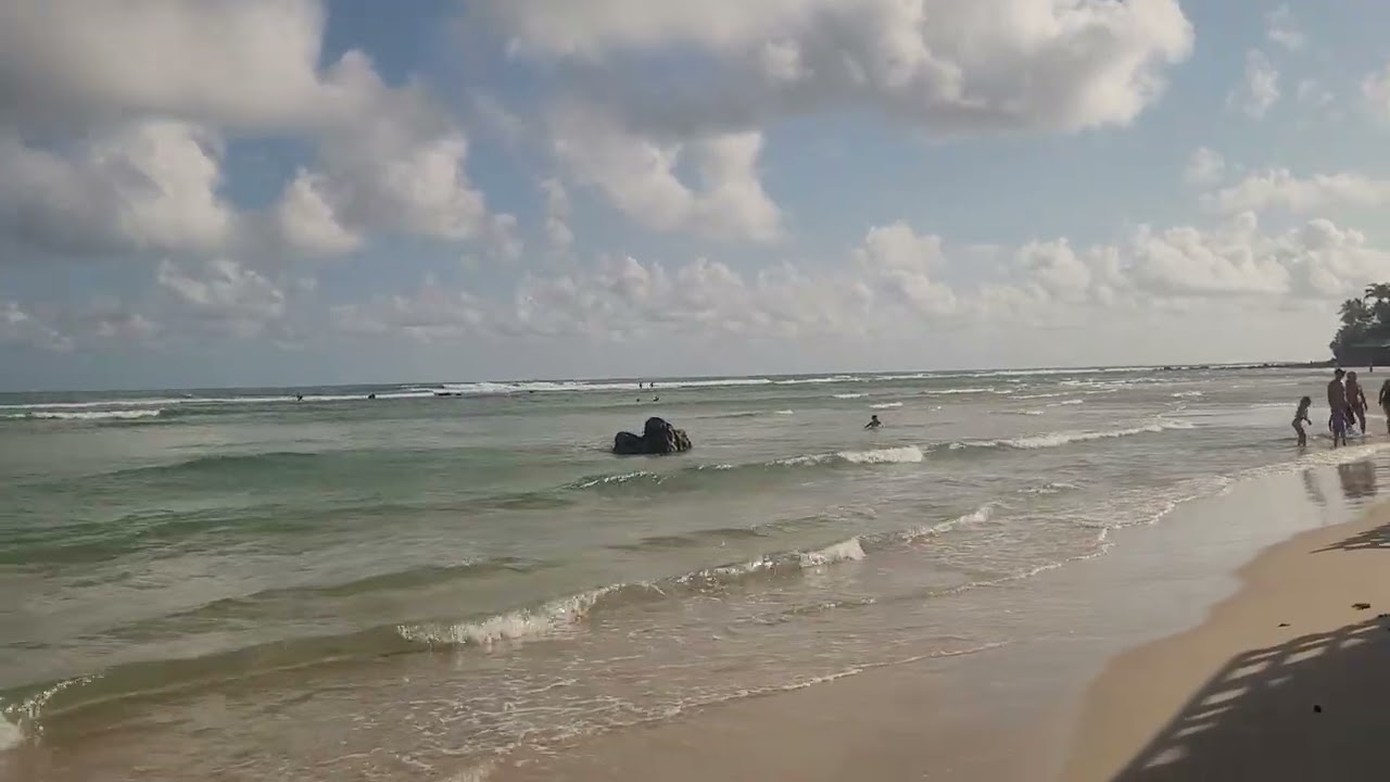 PRAIA DE PIPA LOGO CEDO 
