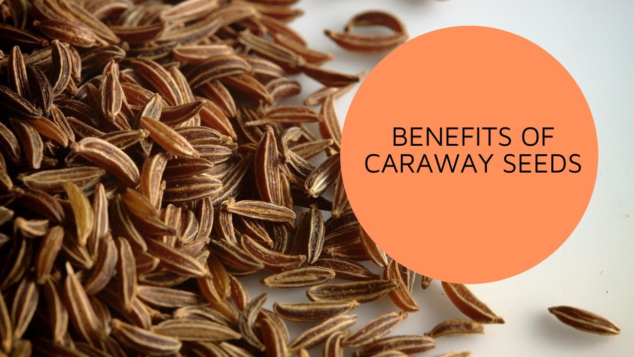 BENEFITS OF CARAWAY SEEDS| Mishry Reviews