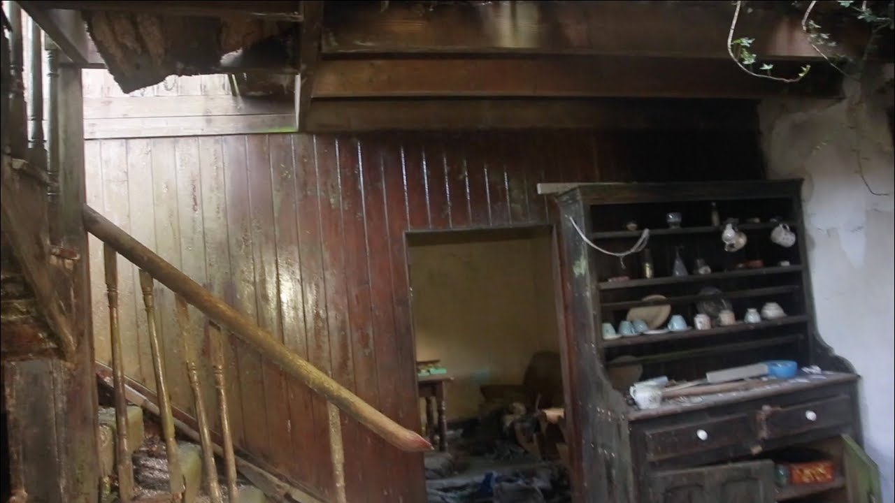 20 Years After a Fire