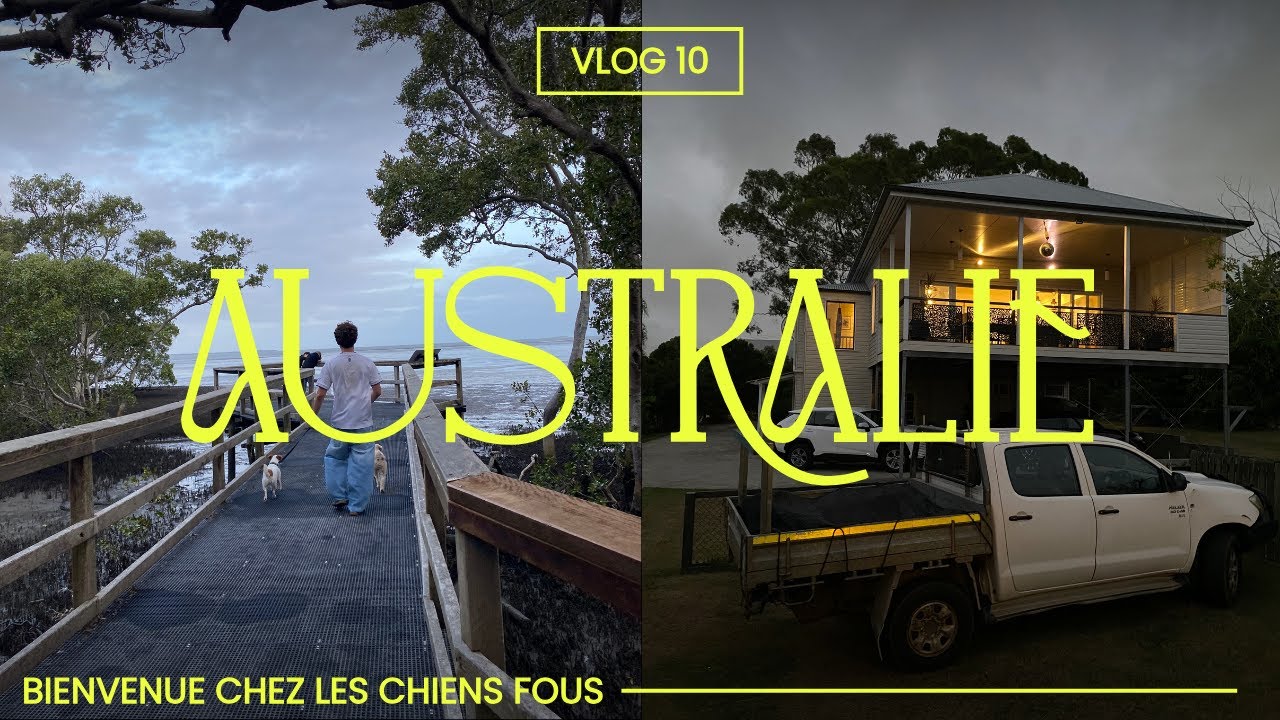 Bienvenue chez les chiens fous 🐕 - VLOG Australie