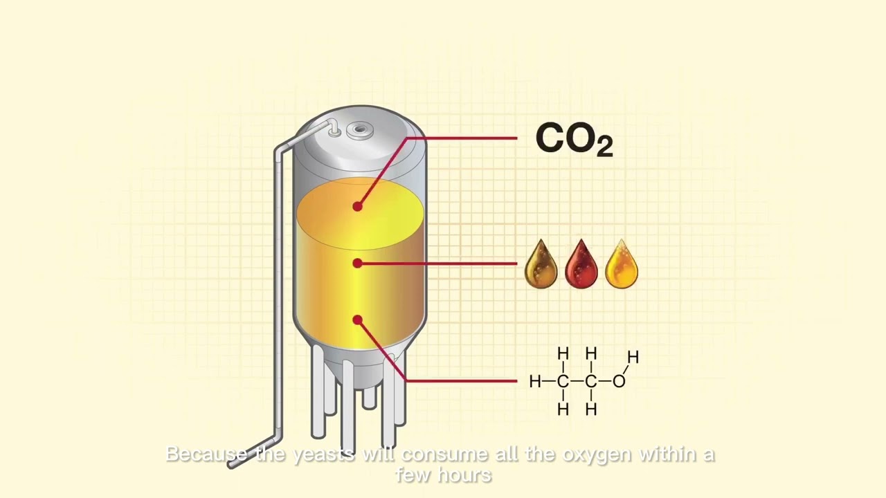 The process of wort oxygenation - beer brewing equipment display