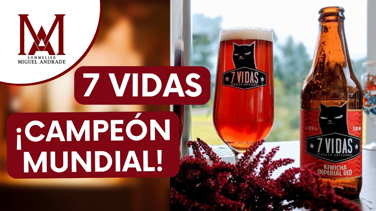 Cerveza 7 vidas campeón mundial - Análisis de la cerveza | EL BUEN BEBER