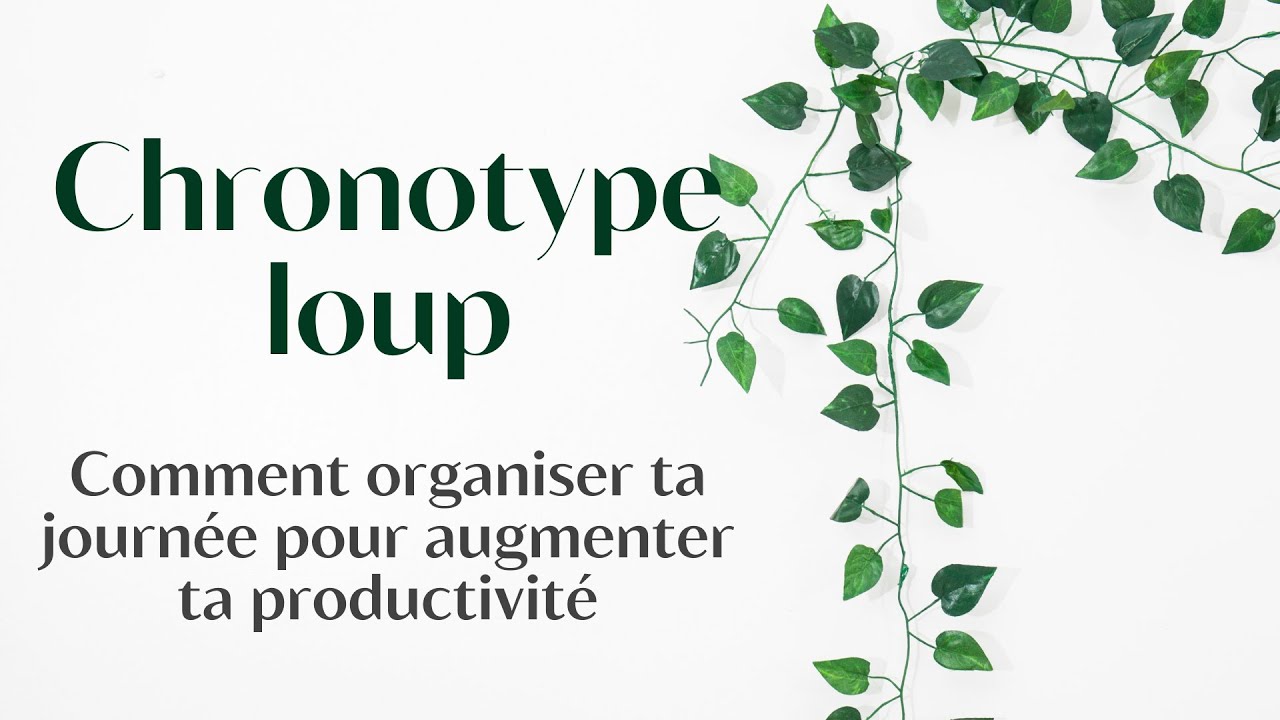 🐺 Chronotype LOUP : ADAPTE ton HORAIRE pour AUGMENTER ta PRODUCTIVITÉ! 🌙⚡️