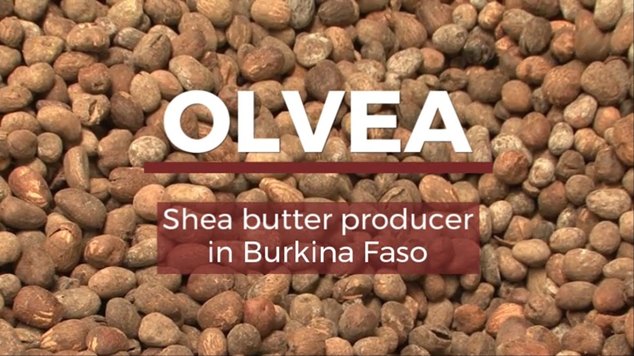 OLVEA - Shea butter in Burkina Faso