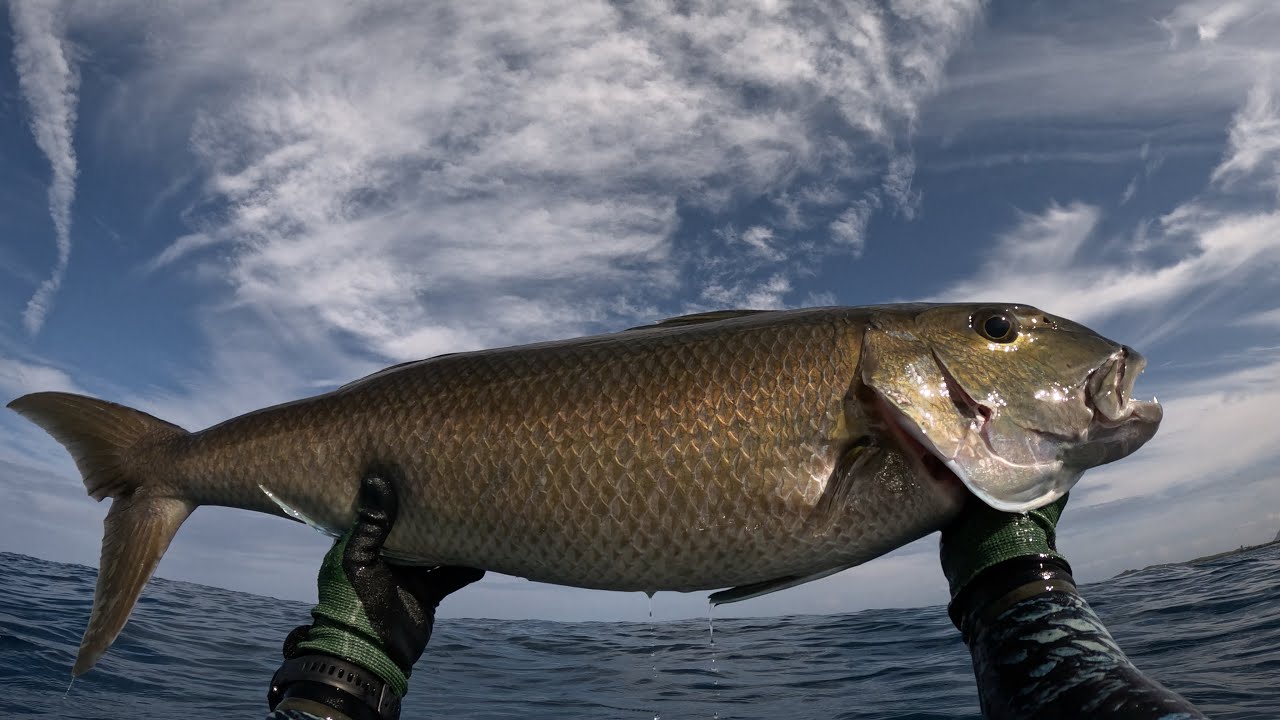 PB Uku on a beautiful Friday morning off the Boat!