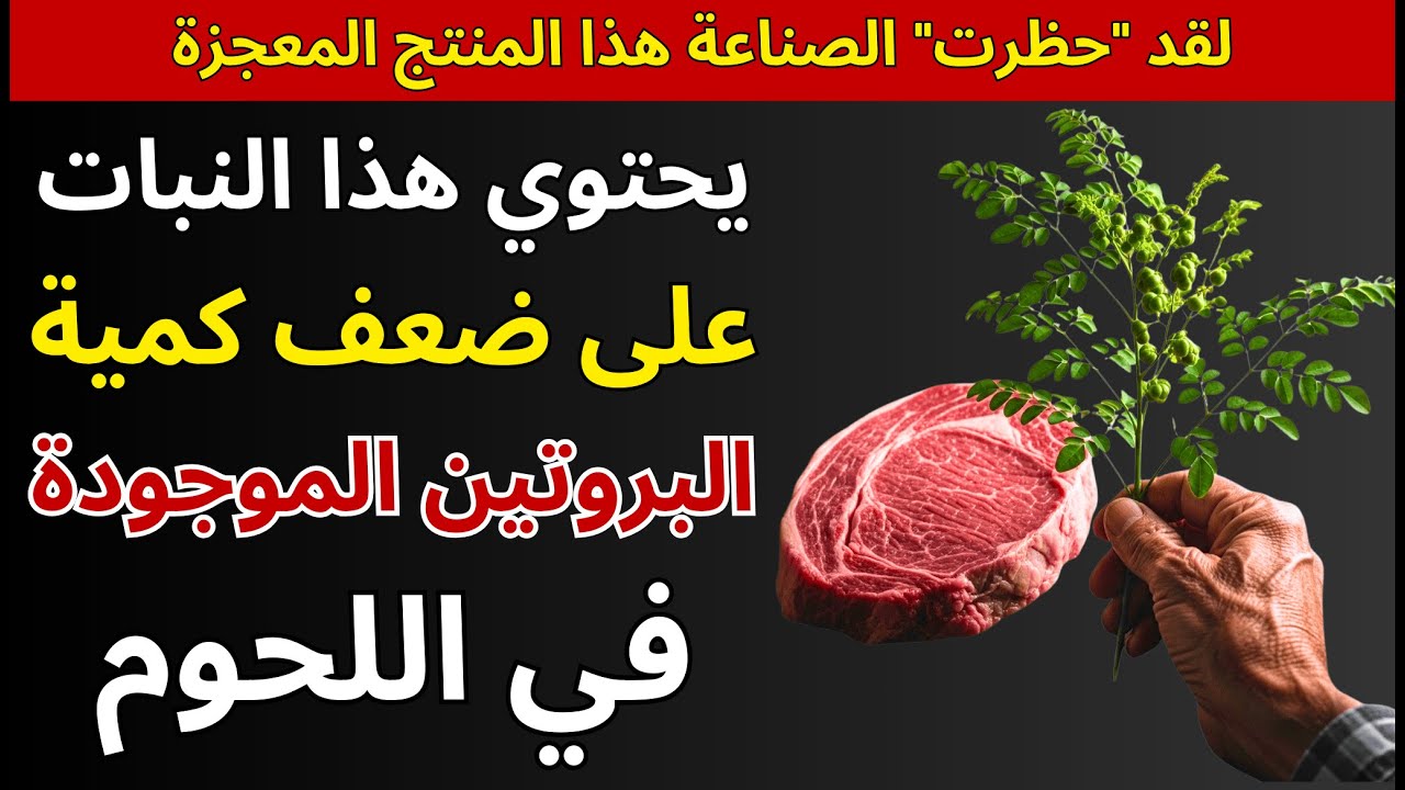 لماذا أخفوا هذا النبات؟ بروتين أكثر من اللحوم الحمراء
