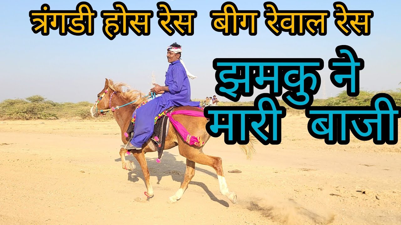 बीग रेवाल रेस त्रंगडी || HORSE RACE TRAGADI MOTI REWAL  #horseoffkutchgujarat #racer #race