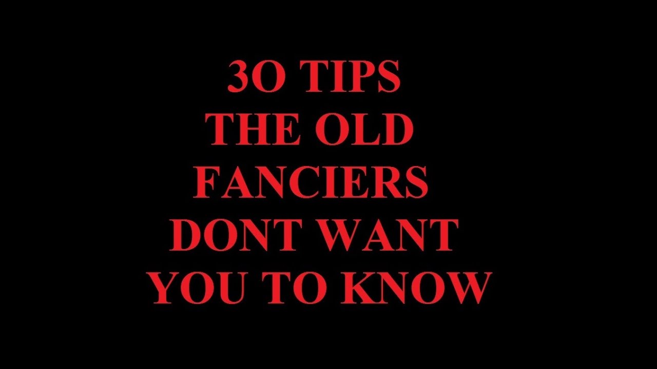 30 RACING PIGEON TIPS  ....... TRICKS OF THE TRADE