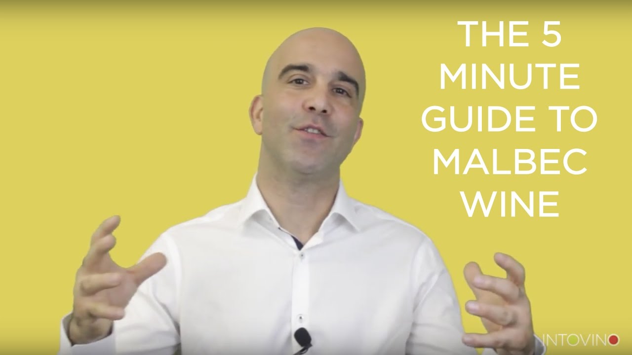 The 5 Minute Guide to Malbec Wine