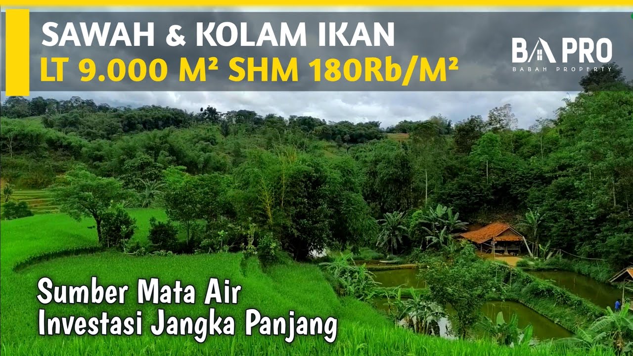 DI JUAL SAWAH DAN KOLAM IKAN 9.000 M² ADA SUMBER MATA AIR NYA