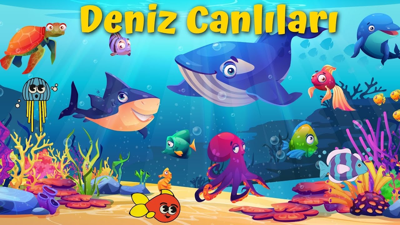 Deniz Canlılarını Tanıyalım | Deniz Canlılarını &Ouml;ğrenelim | Deniz Canlıları | Okul &Ouml;ncesi Eğitim