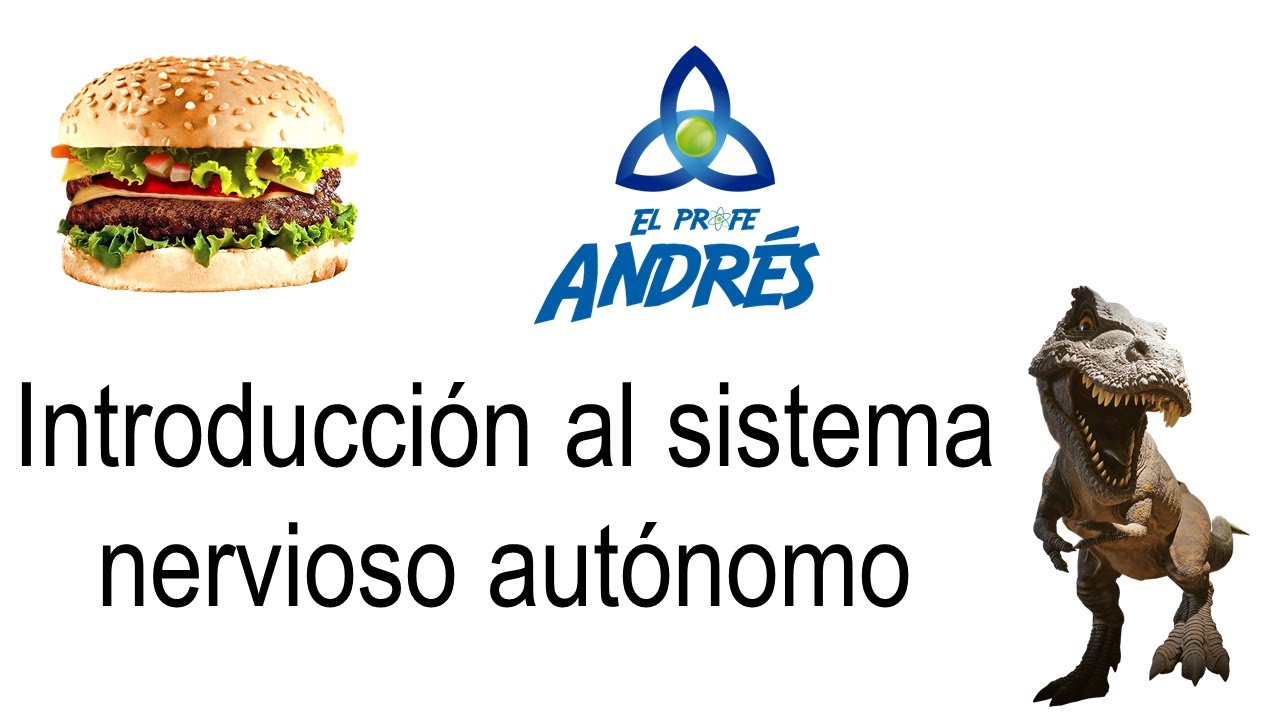 Sistema nervioso autónomo
