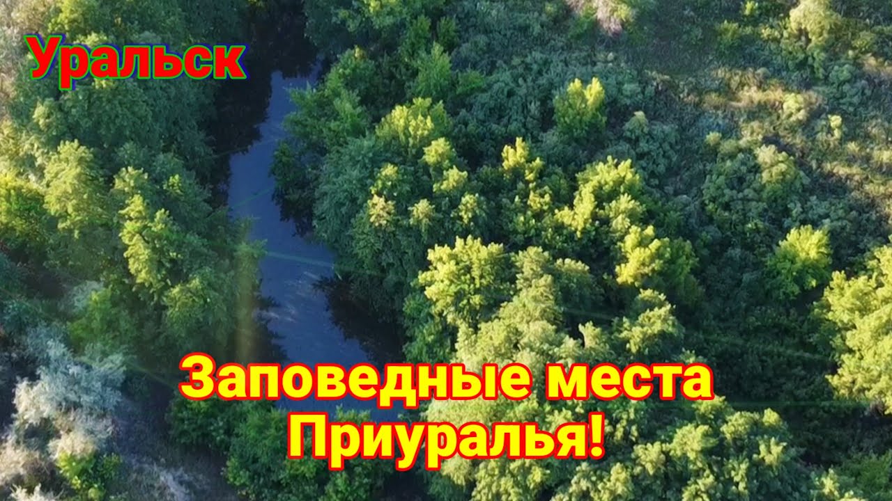 Природа Приуралья!