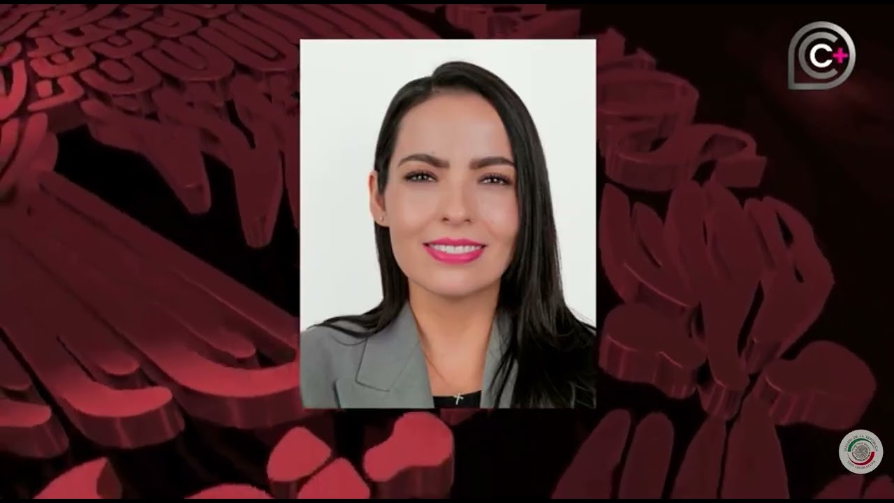 Senadora Laura Esquivel Torres, en la Comisión de Gobernación