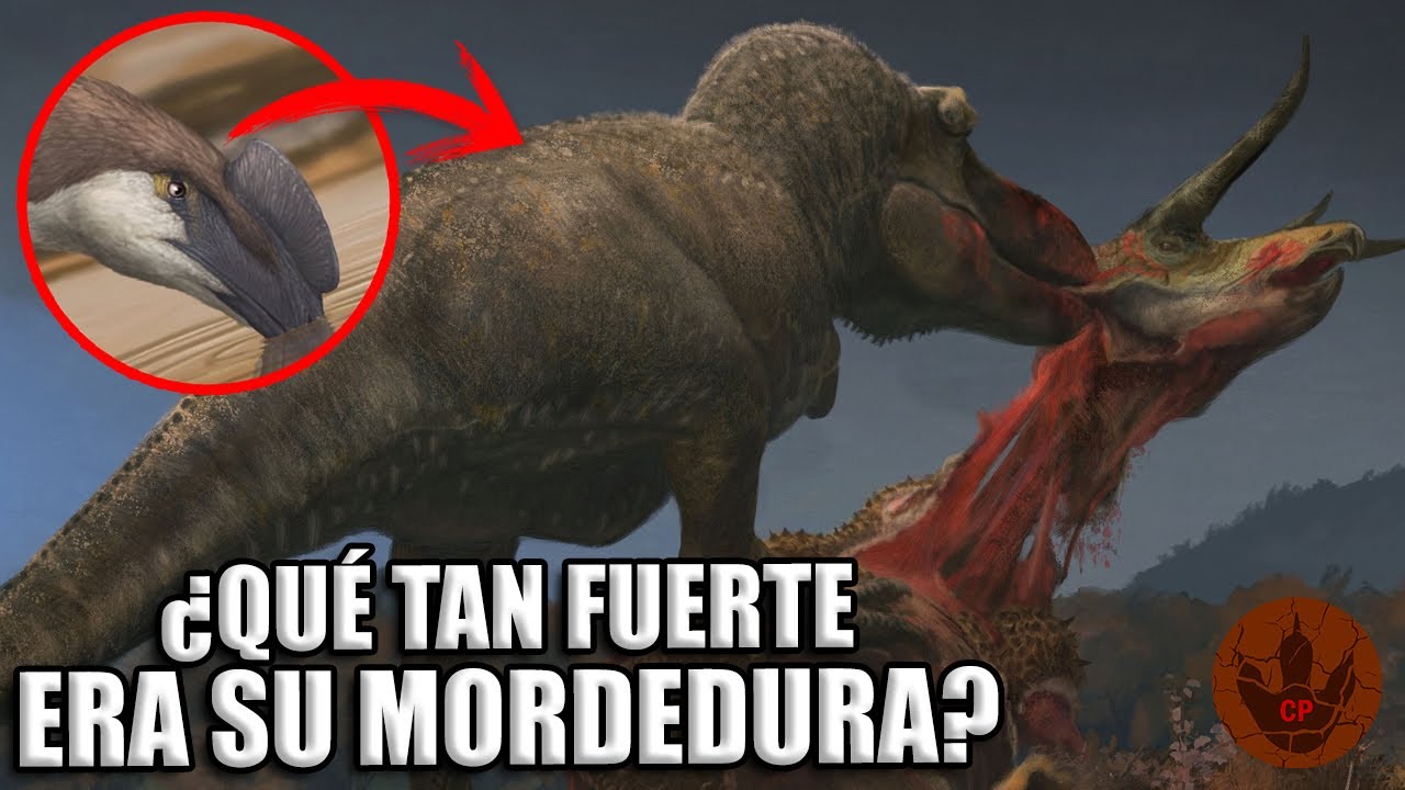 ¿QUÉ TAN FUERTE ERA LA MORDIDA DE UN T.REX?