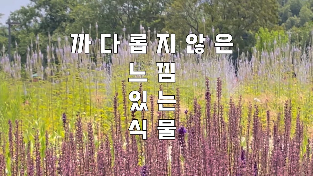 자연주의정원 속 까다로운 식물을 대신할만한 느낌 있는 식물들 | 쉽게 하는 가드닝  | 울산태화강국가정원의 자연주의정원 탐방
