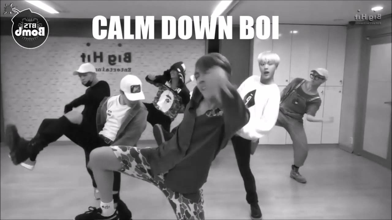 BTS - 뱁새 FANGIRL VER.