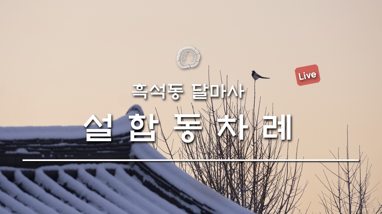 [진리의 실천도량 달마사]  2월 17일 설합동차례