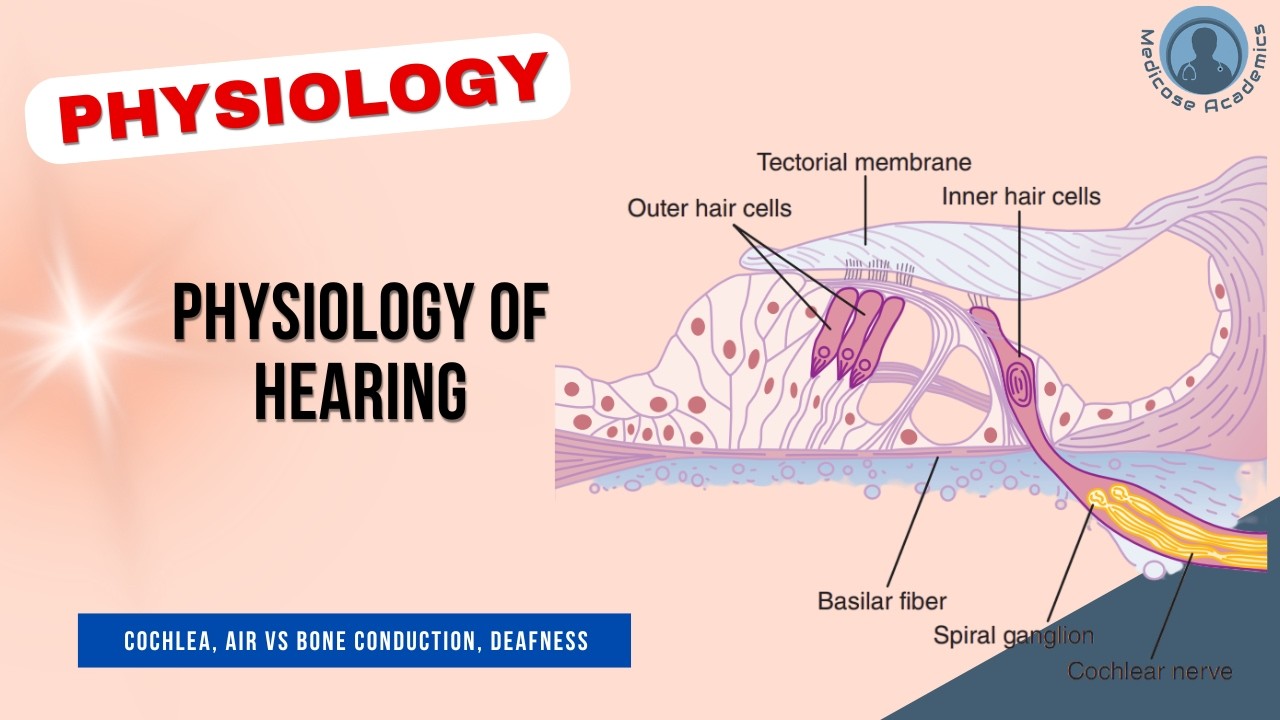 Physiology of Hearing - Crash Course July 2023