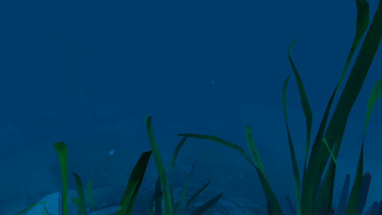How to find blue whale in Ocean Rift