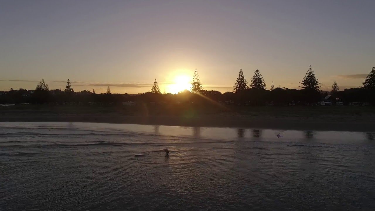 NzBoardstore Staff Surf
