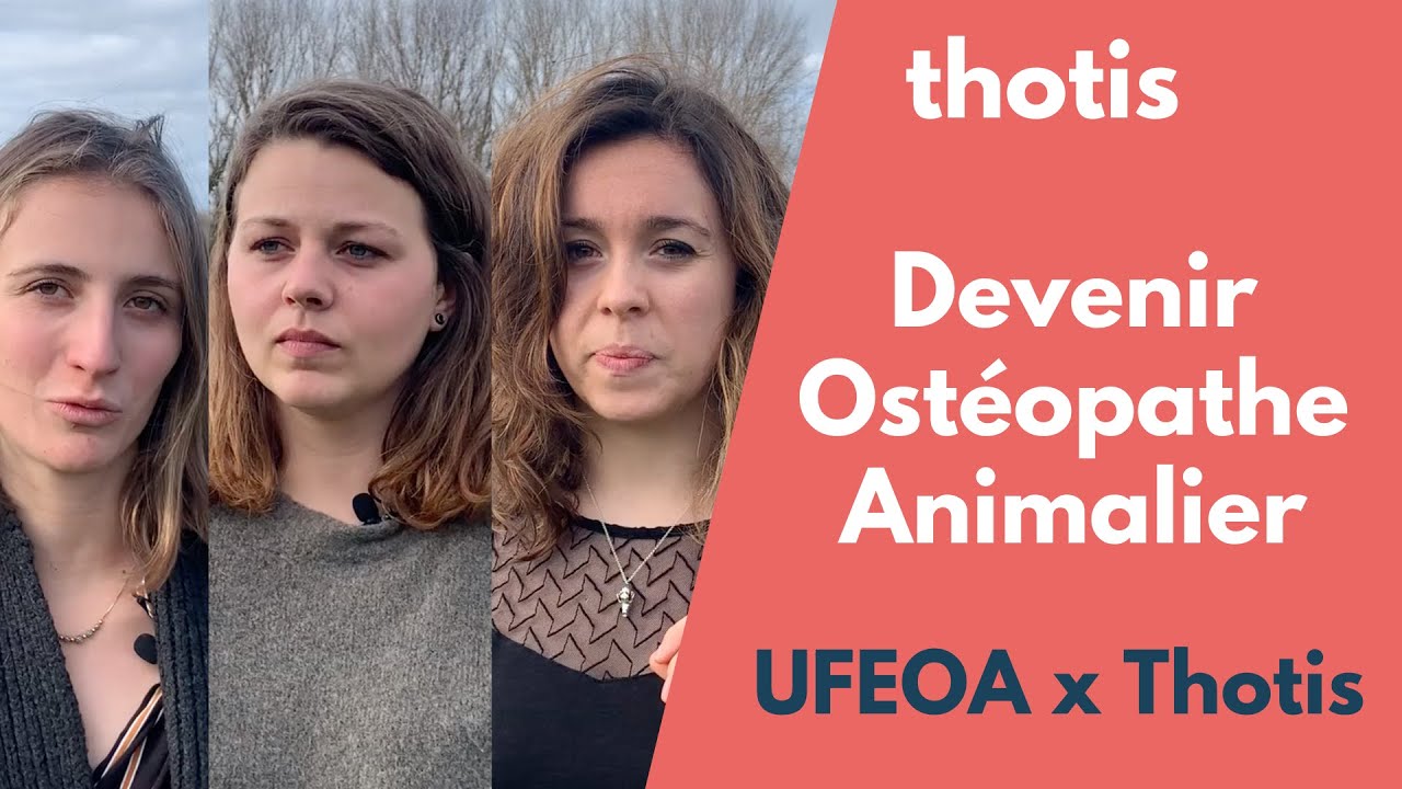 Devenir ostéopathe animalier - Thotis x UFEOA #Ostéopathe