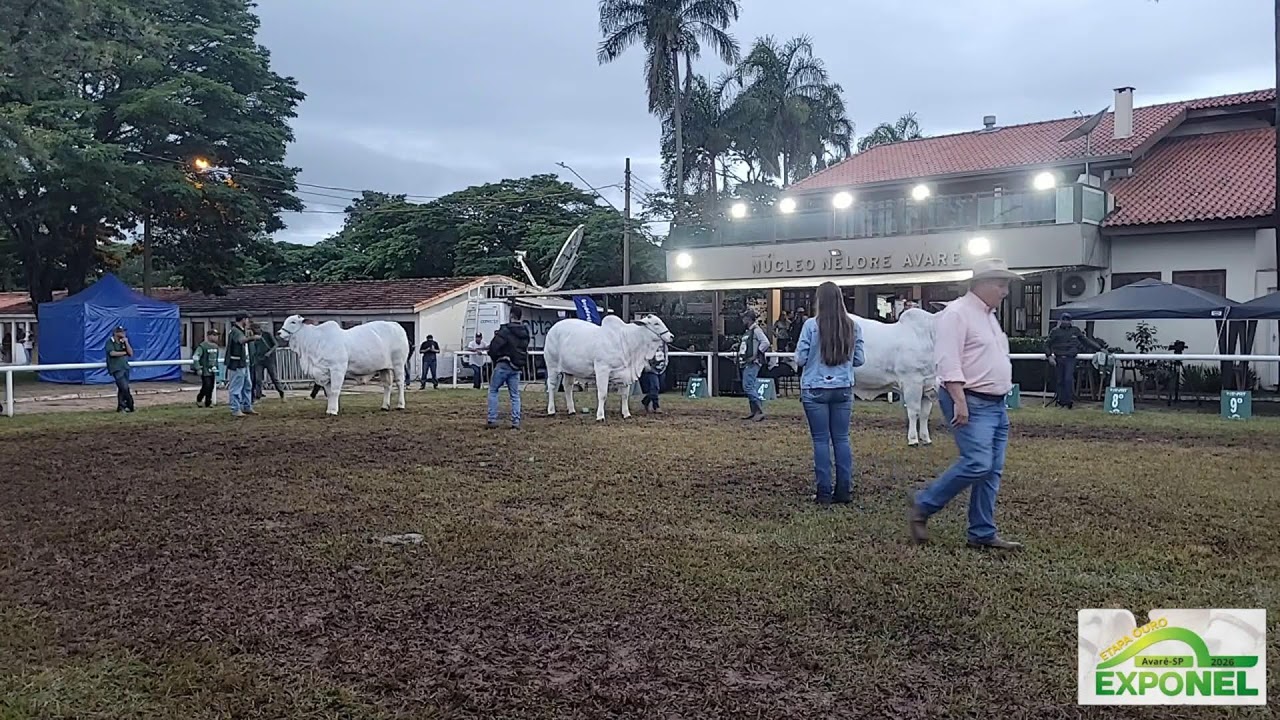 EXPONEL ETAPA OURO AVARÉ 2026 - 11/03/2026