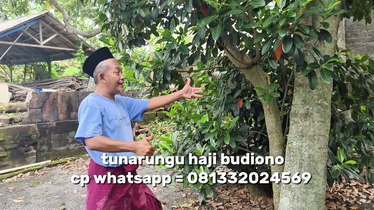 PENGOBATAN TUNARUNGU HAJI BUDIONO JOMBANG