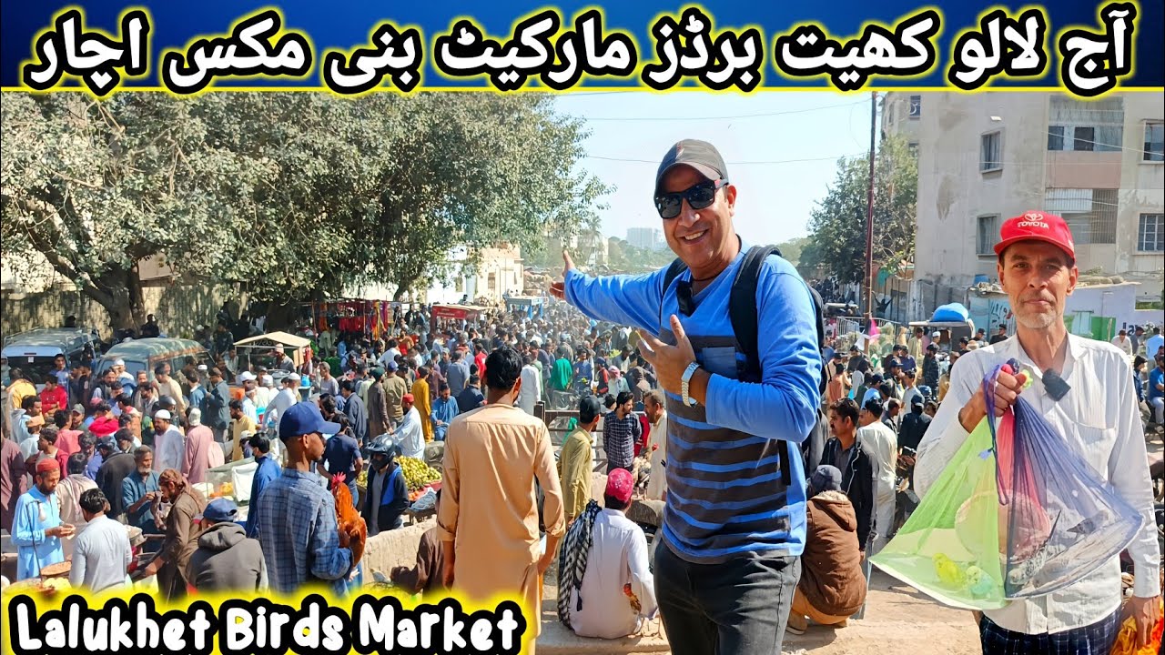 Lalukhet Sunday Birds Market 2026 lastest Update| lalukhet birds market 2026 latest update@SYEDBIRDS