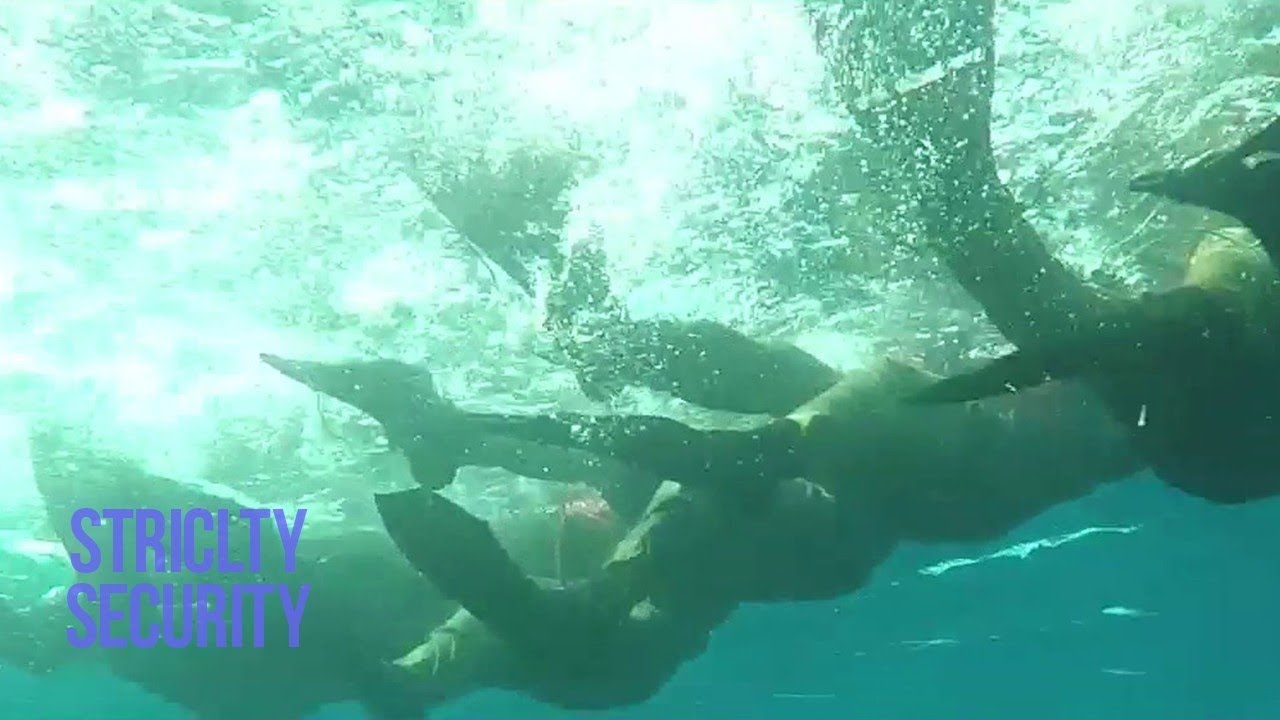 Shayetet 7: Istae'ls Elite Units of the Deep