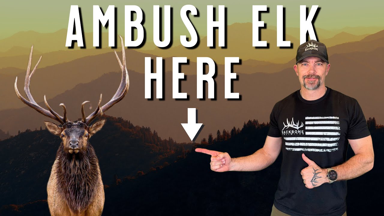 Elk Hunting This Spot Will Help You Kill More Bulls
