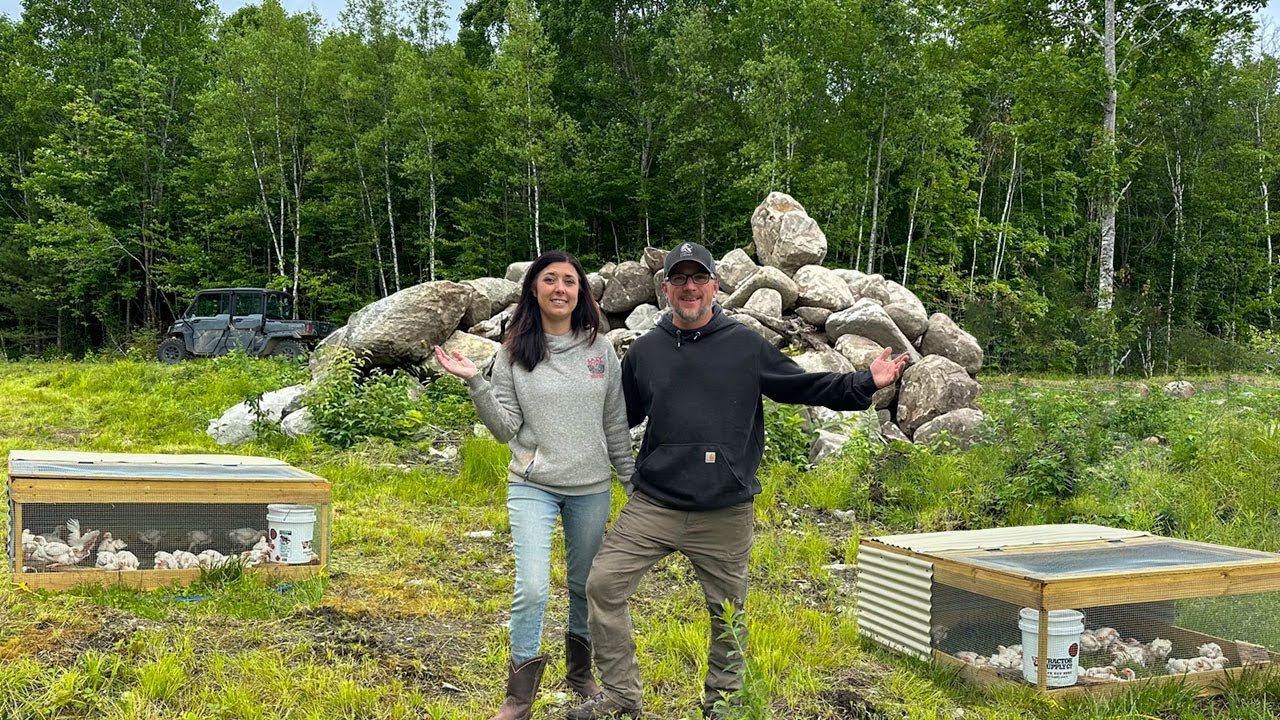 It Was TOTALLY Worth IT! Building Our OFF GRID Farm in the WOODS