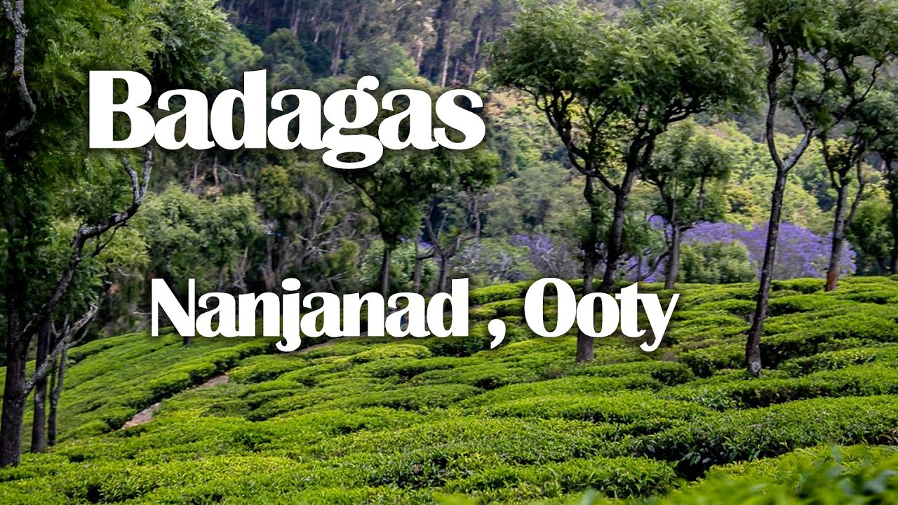 BADAGAS  NANJANAD  |  படகாஸ் நஞ்சநாடு | OOTY |  ஊட்டி | SUTTRULA DHISAI |