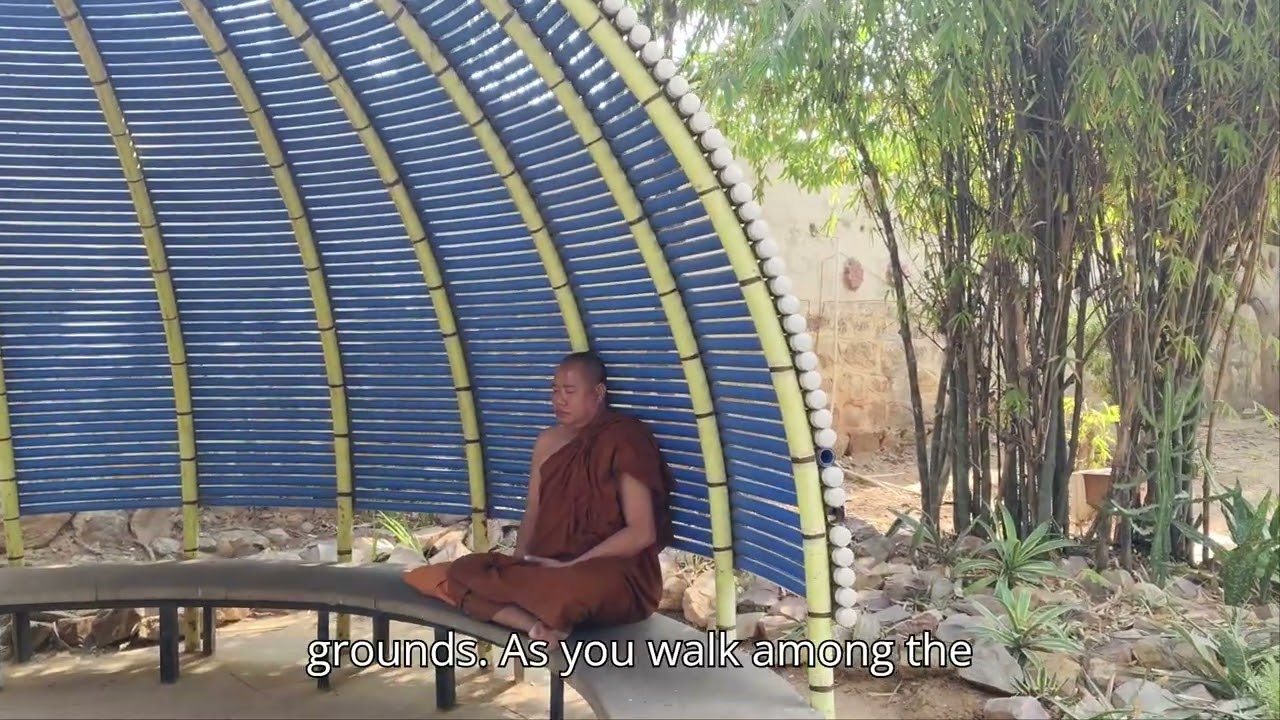 The history of the Buddha