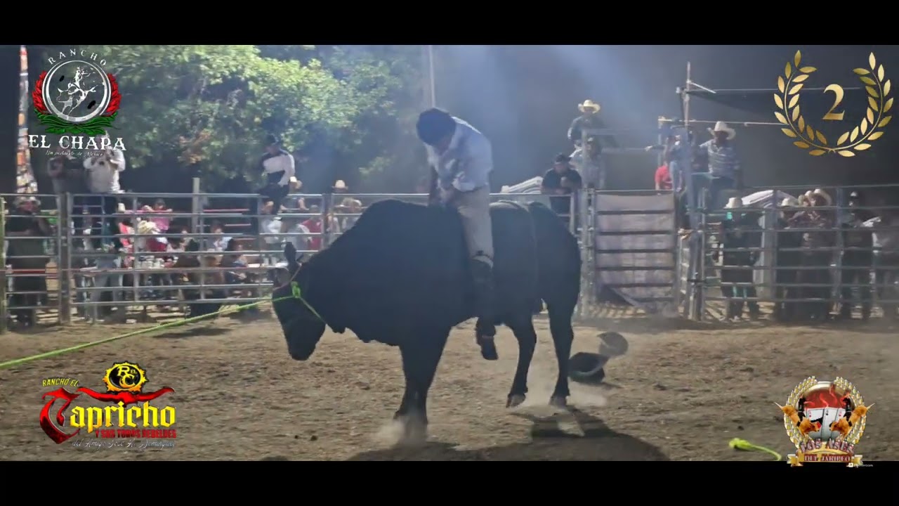 Rancho el capricho llevando el 2 Lugar en Rancho El chapa llevando a Toro Blackjack & Polvorita Jr.