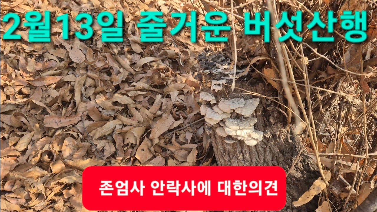 줄거운 버섯산행 존엄사에 대한 여러분의 의견은?  #버섯산행 #버섯