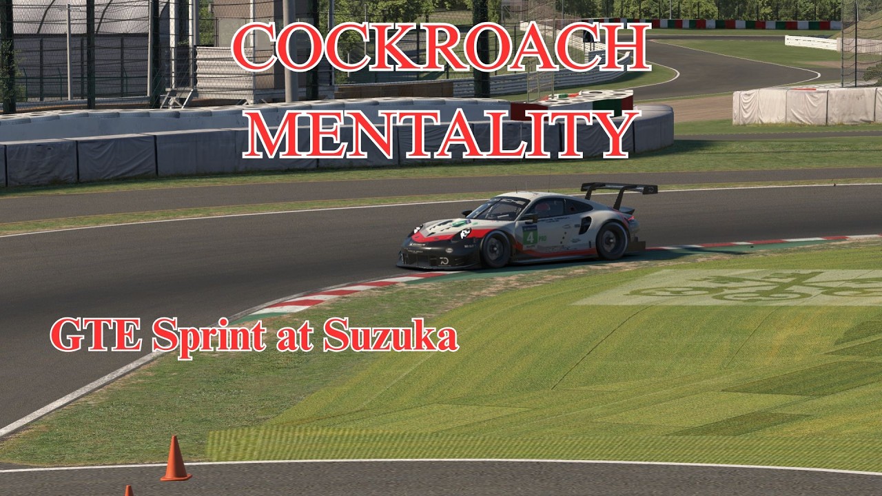 How to SURVIVE. GTE sprint at Suzuka