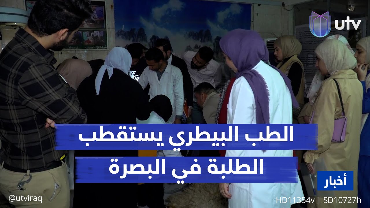 الطب البيطري يستقطب الطلبة بعد انتعاش القطاع في البصرة.. أكثر من 65 عيادة للحيوانات الأليفة