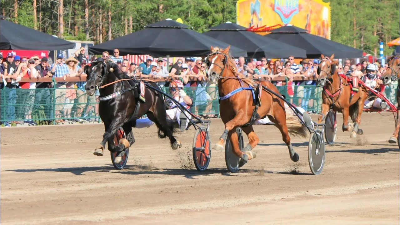 Odd Herakles & Mats Djuse vinner Nordic King (50 000 Euro) i Härmä 2021. Segertid 1.19,4a/1600 meter