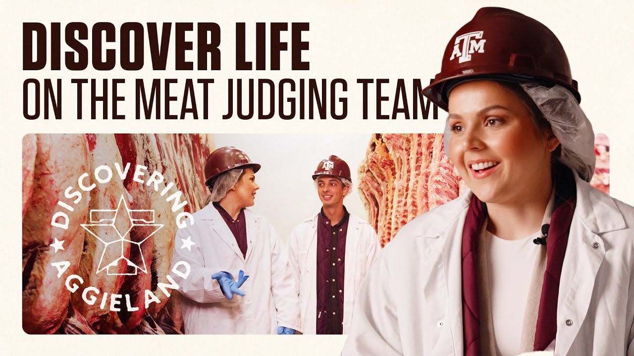 Texas A&M Meat Judging Team | Discovering Aggieland