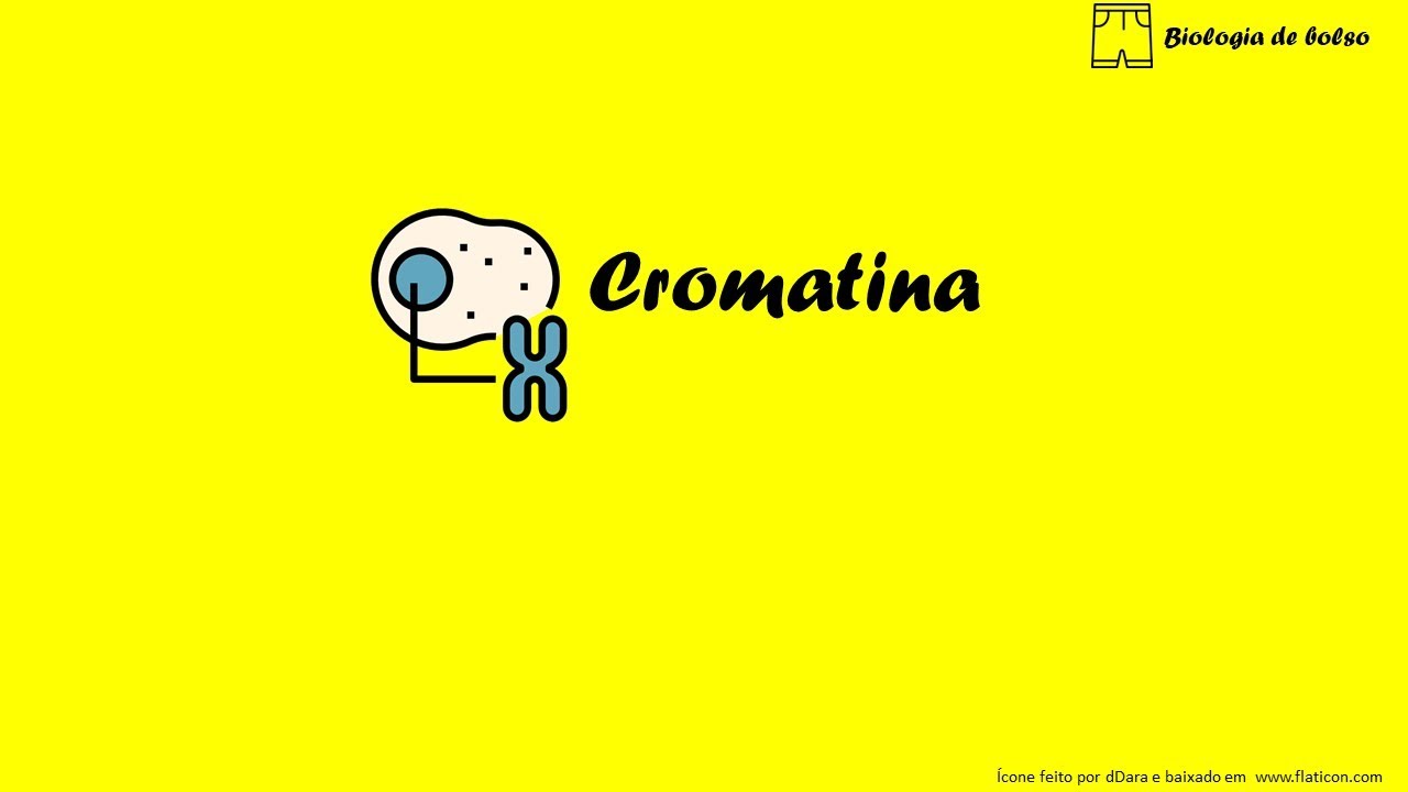 Cromatina