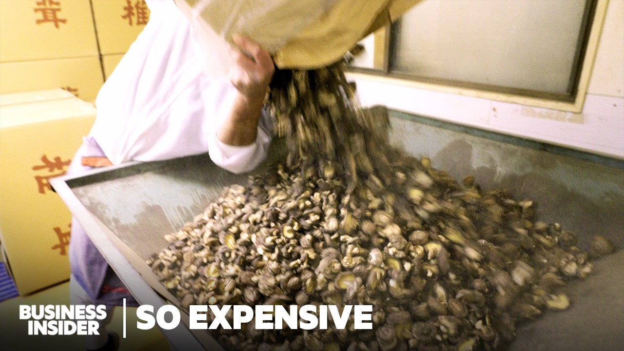 How Japan's Priciest Shiitake Mushrooms Fuel A $740 Million Global Shiitake Industry | So Expensive