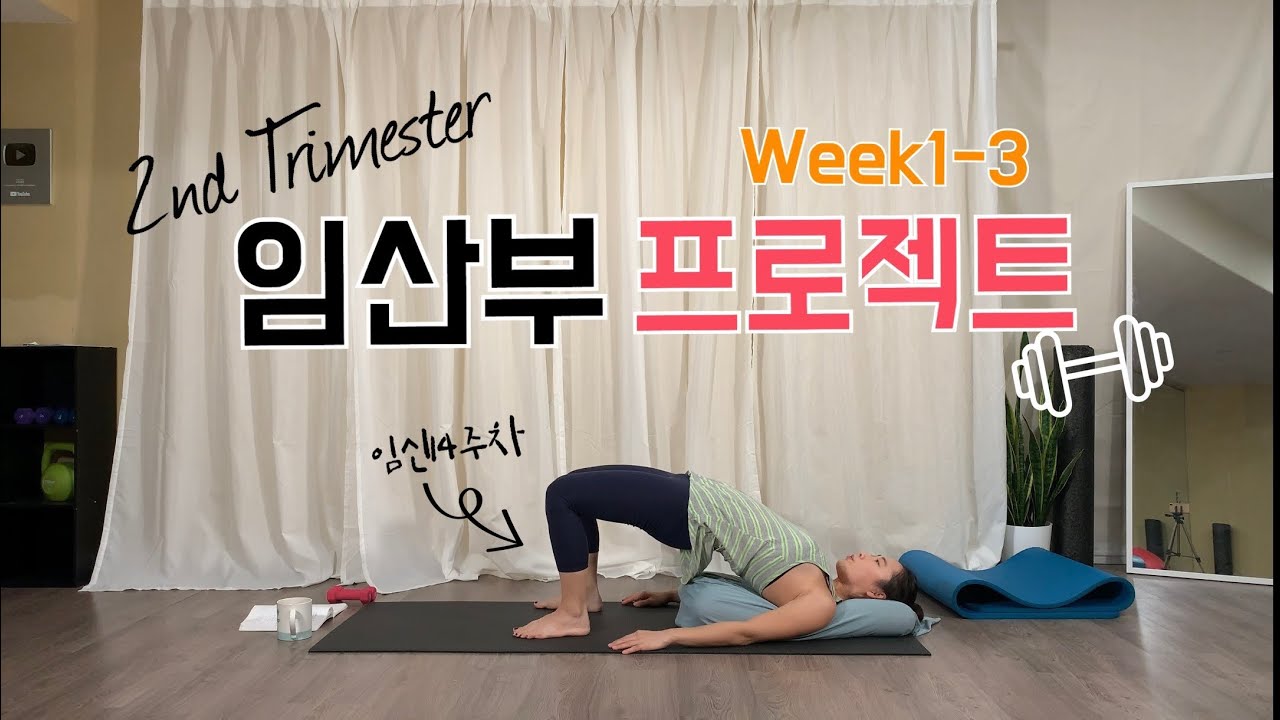 Week1-3/임산부프로젝트(2nd Trimester)